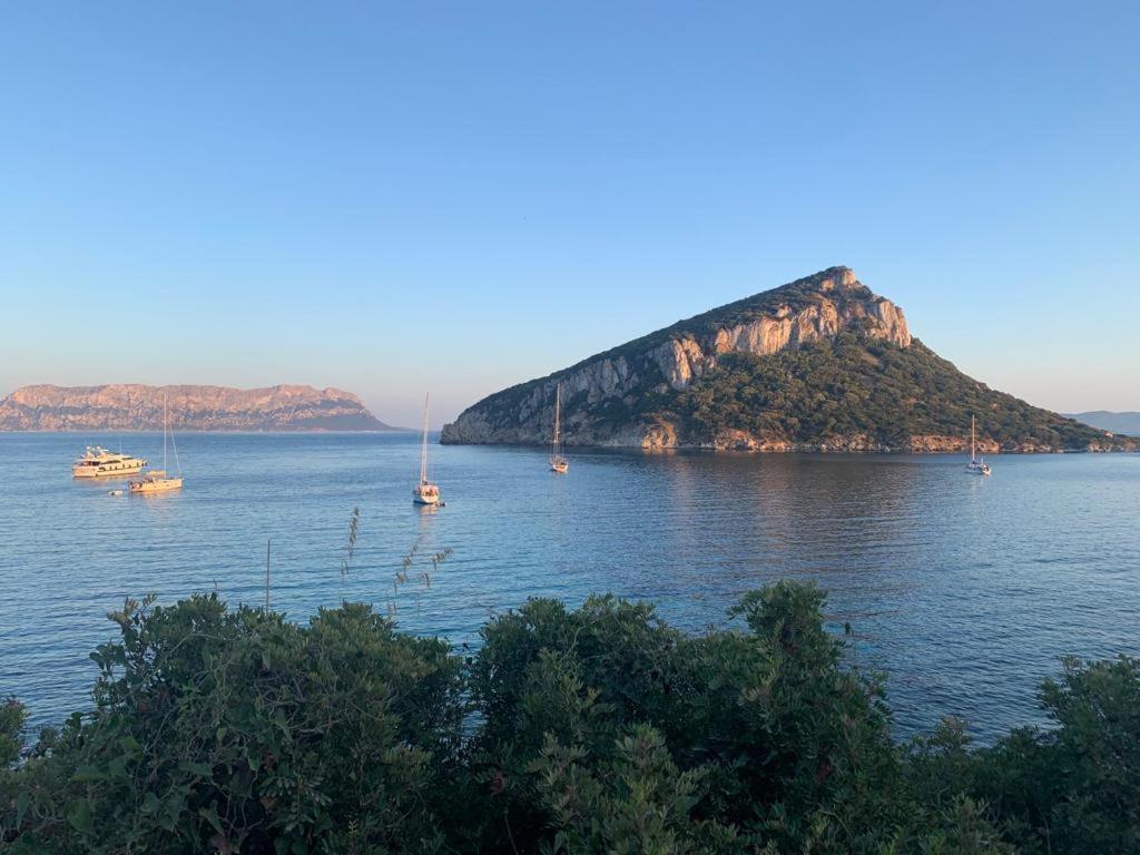Appartamenti Le Primule Golfo Aranci Exterior photo